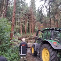 Bild 15